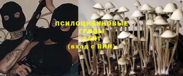 PSILOCYBIN Армянск